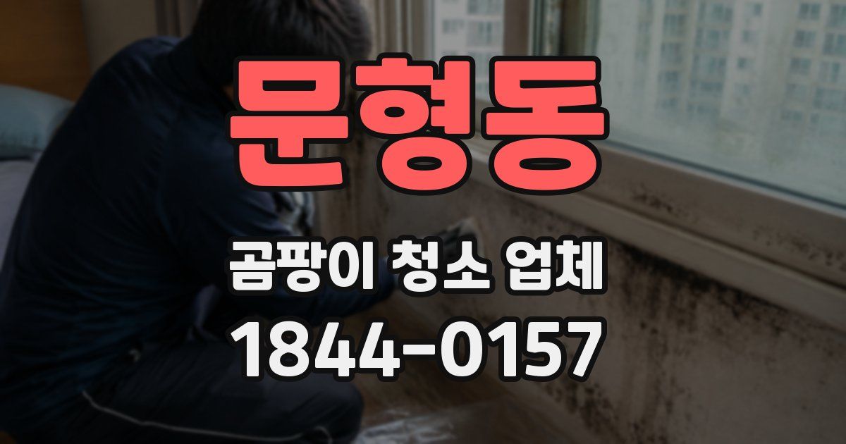 문형동 곰팡이 청소 업체