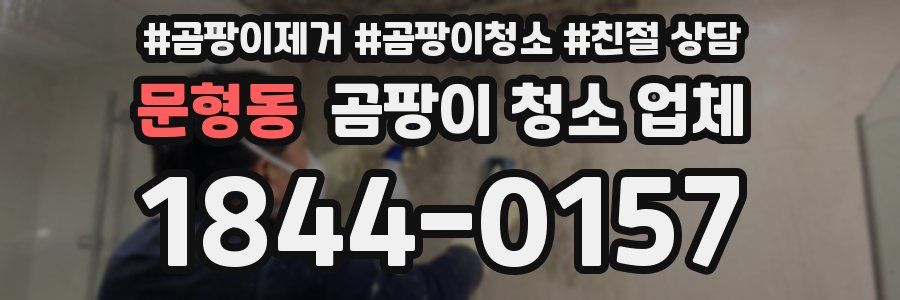 문형동 곰팡이 청소 업체