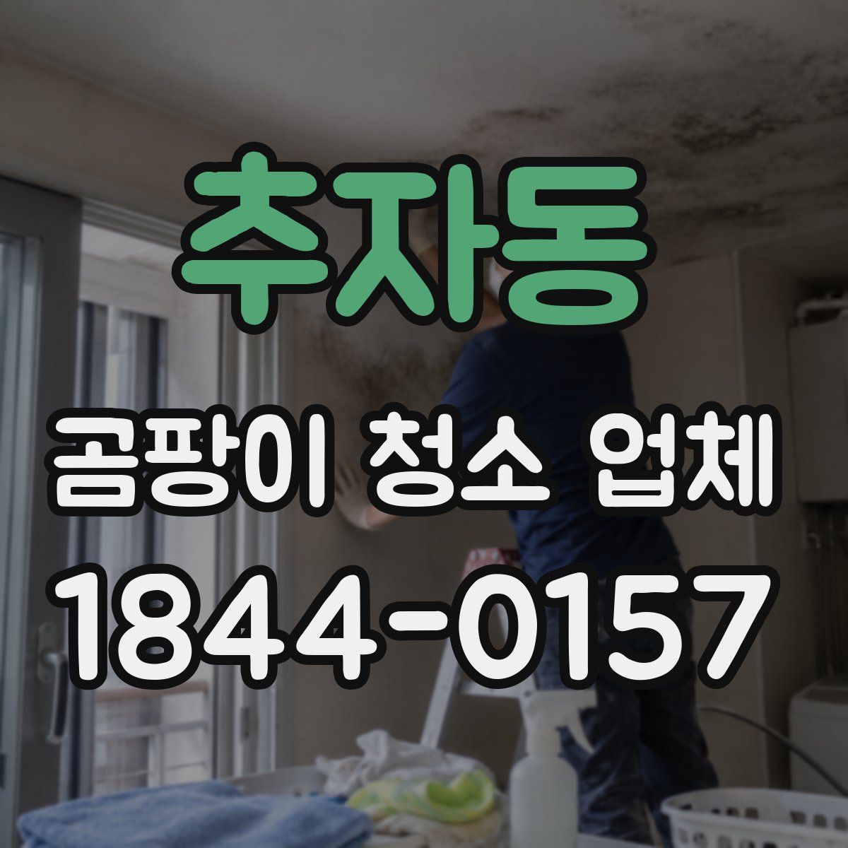 추자동 곰팡이 청소 업체