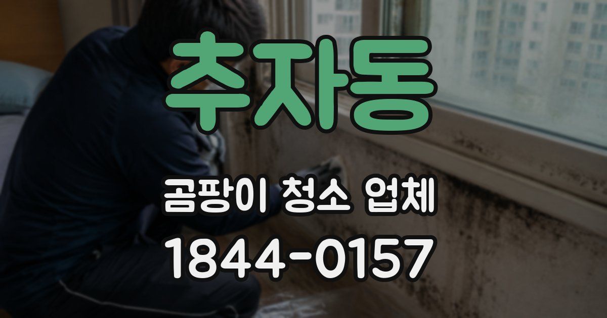 추자동 곰팡이 청소 업체