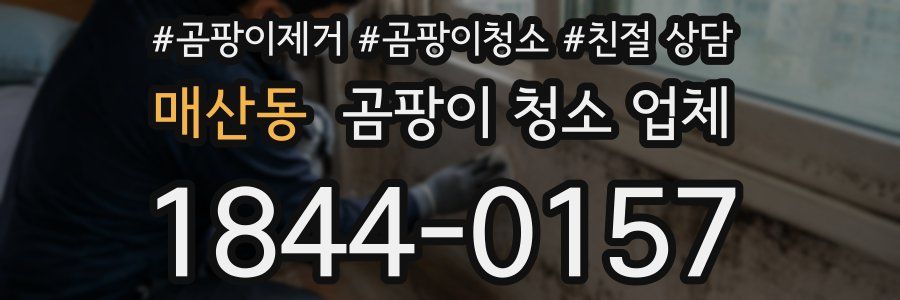 매산동 곰팡이 청소 업체