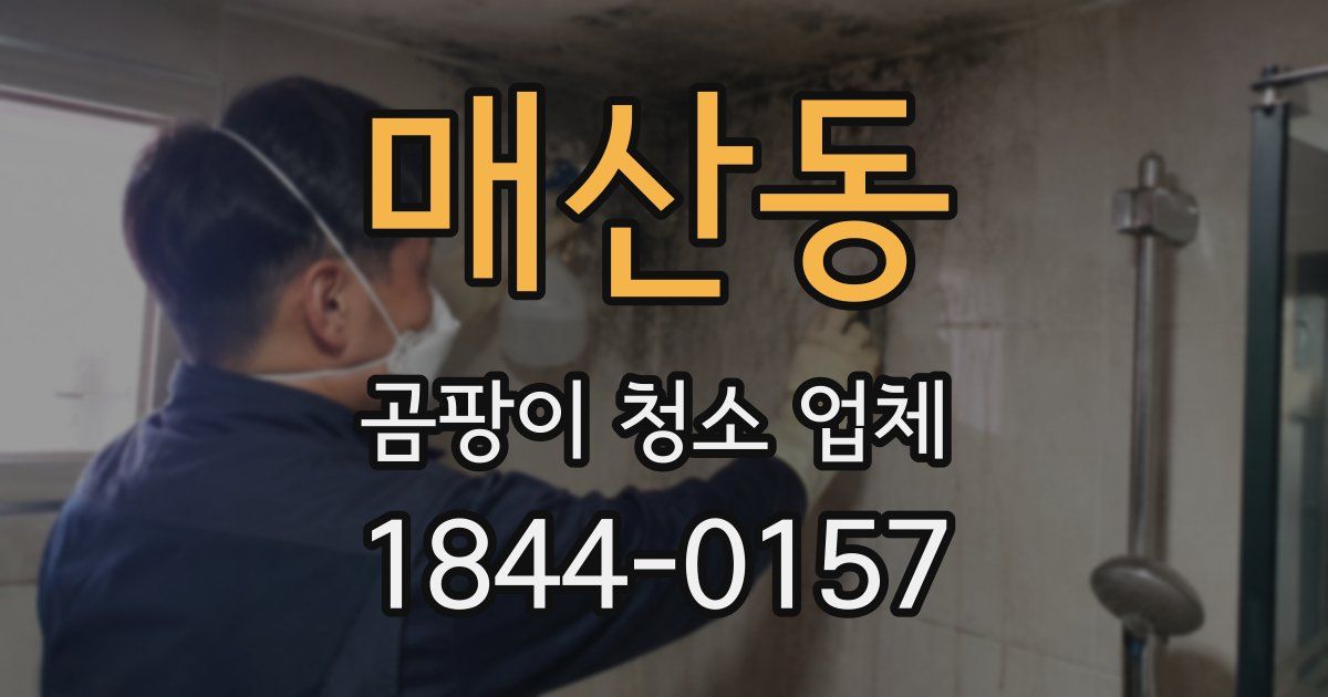매산동 곰팡이 청소 업체