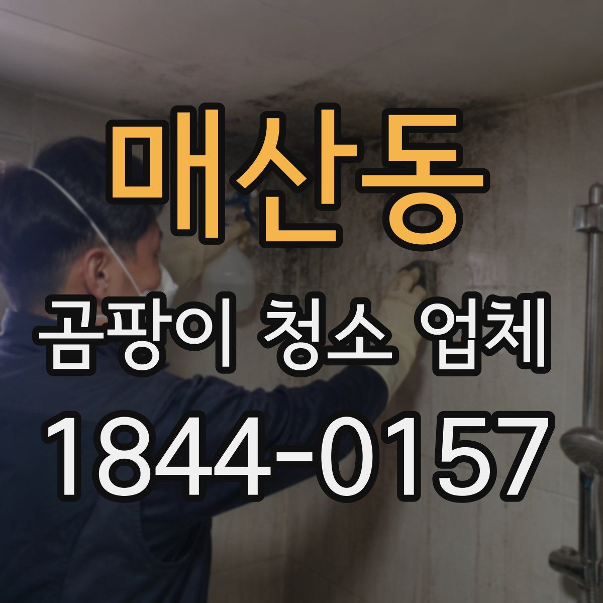 매산동 곰팡이 청소 업체