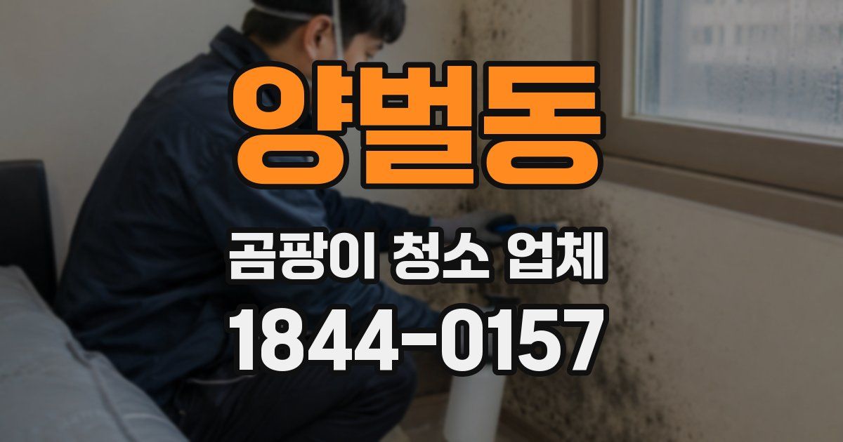 양벌동 곰팡이 청소 업체