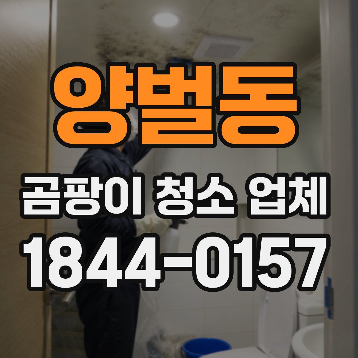 양벌동 곰팡이 청소 업체