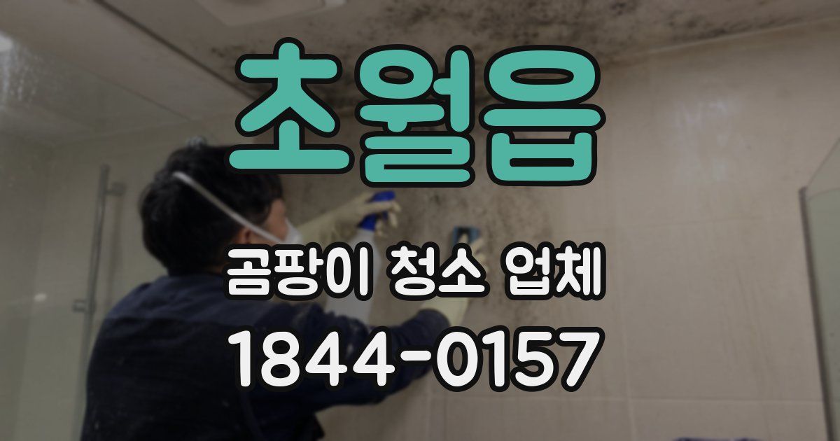 초월읍 곰팡이 청소 업체