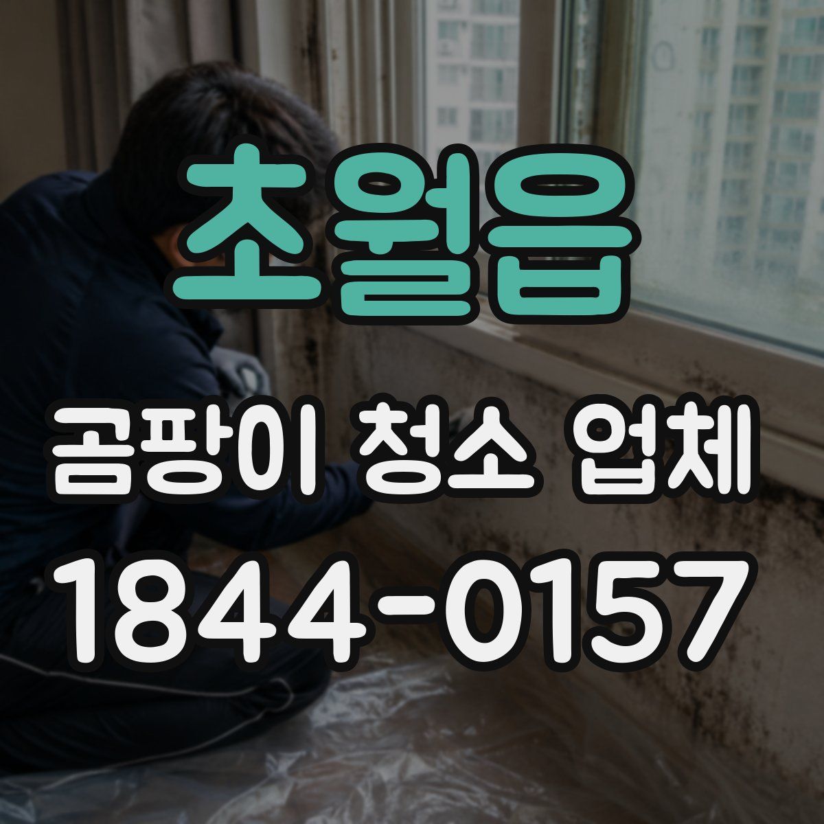 초월읍 곰팡이 청소 업체