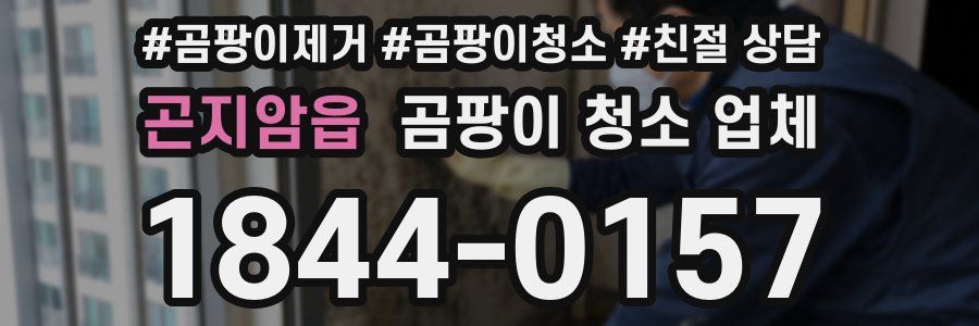 곤지암읍 곰팡이 청소 업체