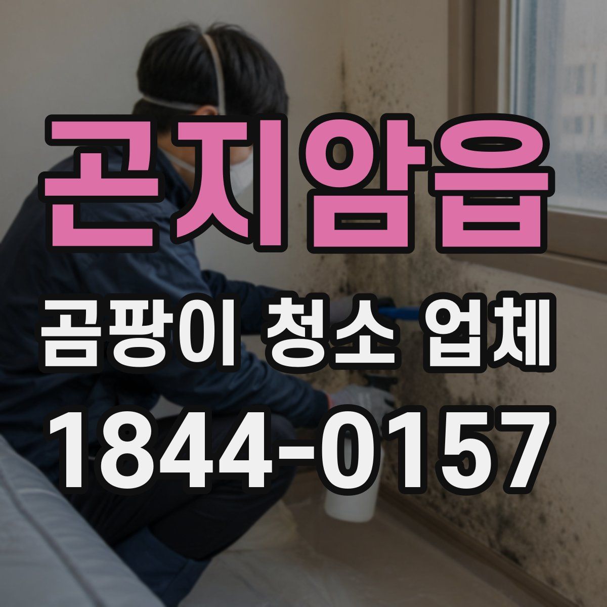 곤지암읍 곰팡이 청소 업체