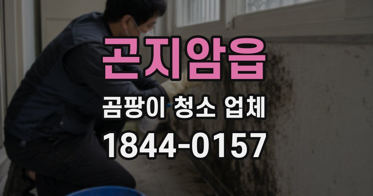 곤지암읍 곰팡이 청소 업체