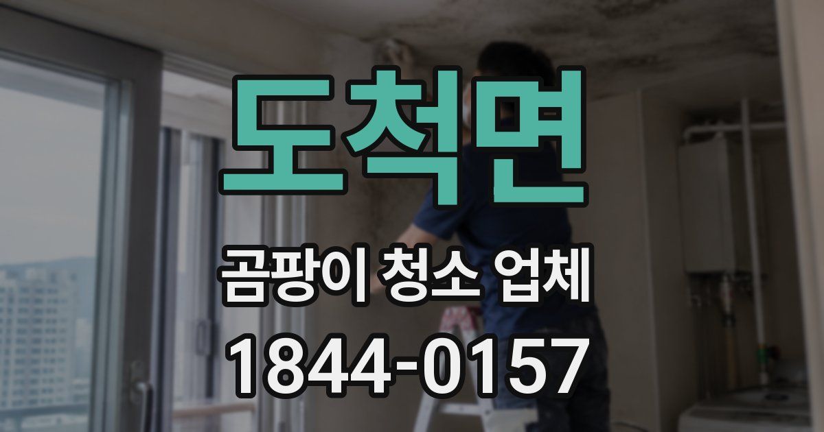 도척면 곰팡이 청소 업체