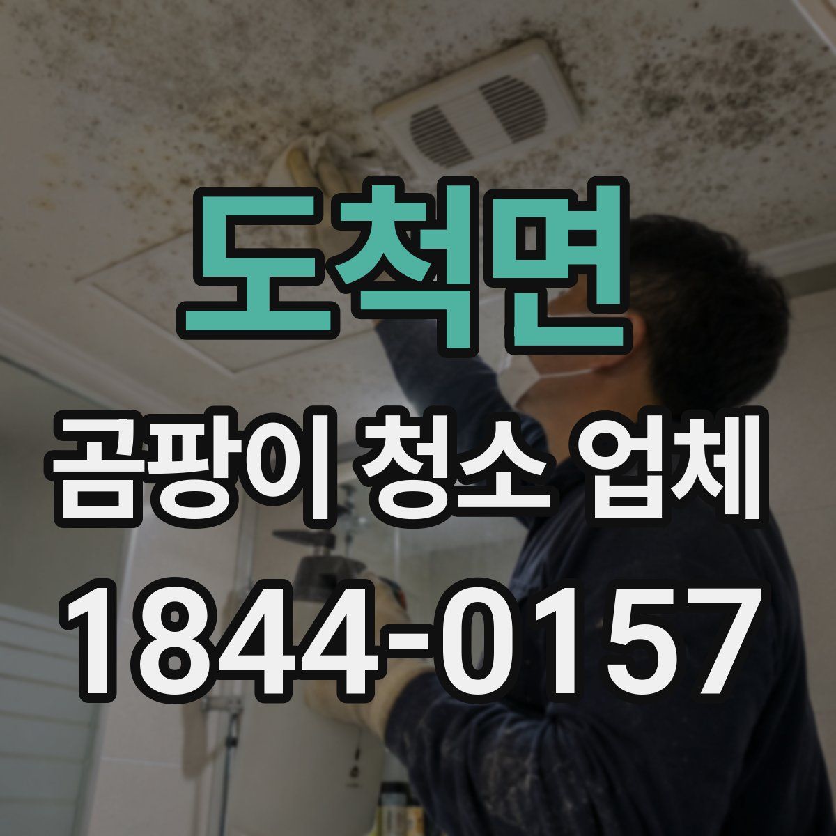 도척면 곰팡이 청소 업체