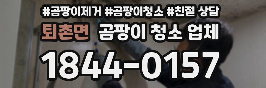 퇴촌면 곰팡이 청소 업체