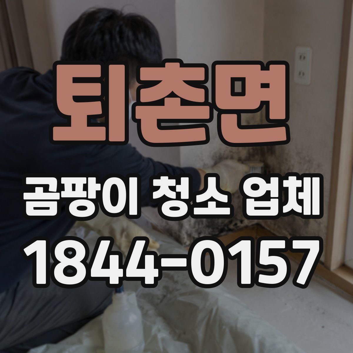 퇴촌면 곰팡이 청소 업체