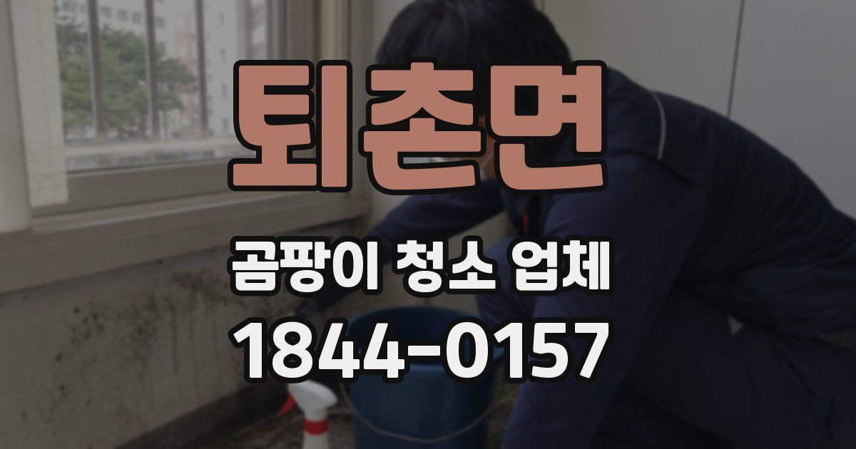 퇴촌면 곰팡이 청소 업체
