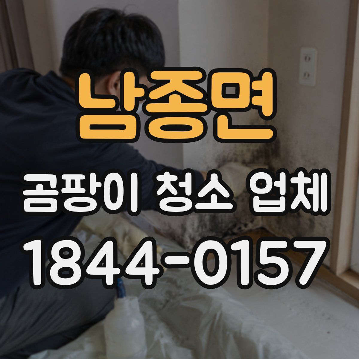 남종면 곰팡이 청소 업체