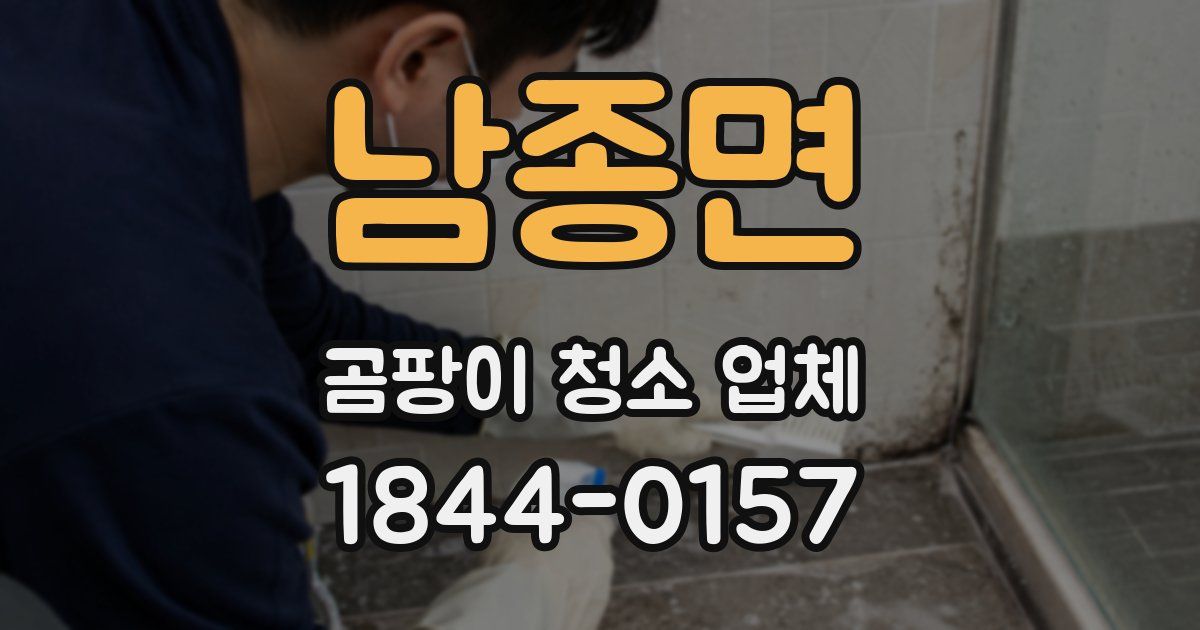 남종면 곰팡이 청소 업체