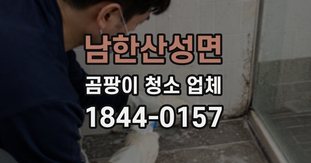 남한산성면 곰팡이 청소 업체