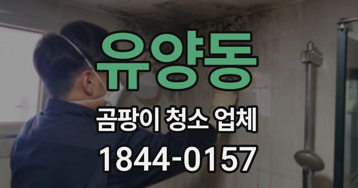 유양동 곰팡이 청소 업체