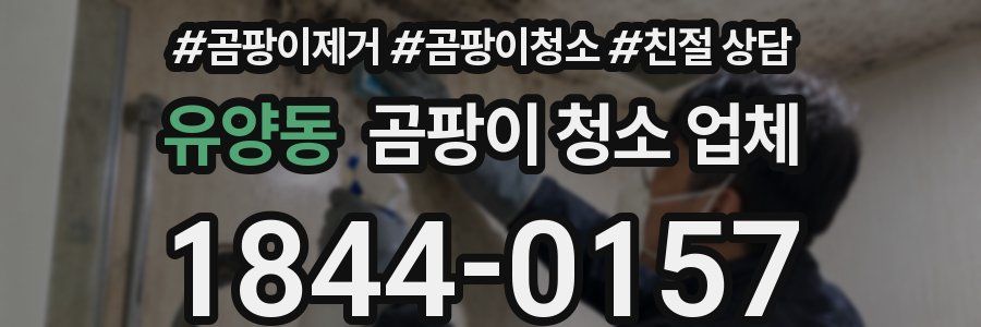유양동 곰팡이 청소 업체