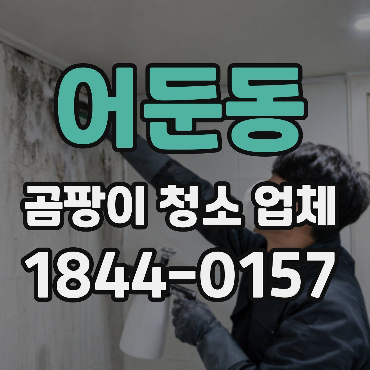 어둔동 곰팡이 청소 업체