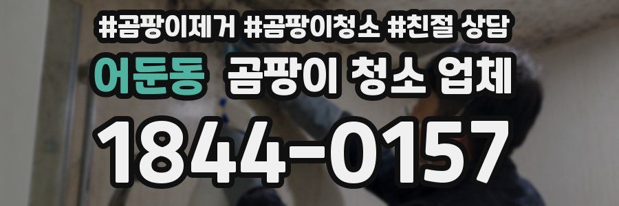 어둔동 곰팡이 청소 업체