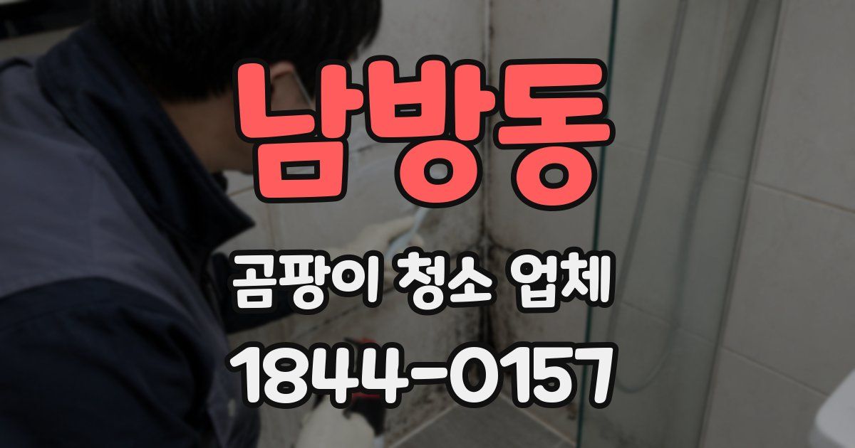 남방동 곰팡이 청소 업체