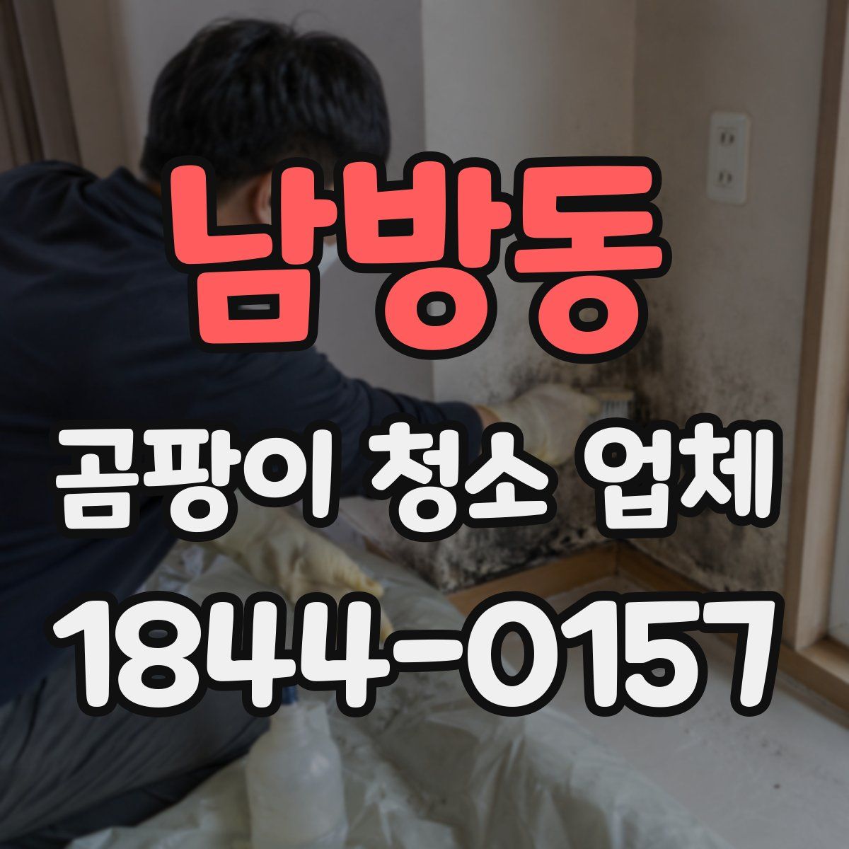 남방동 곰팡이 청소 업체