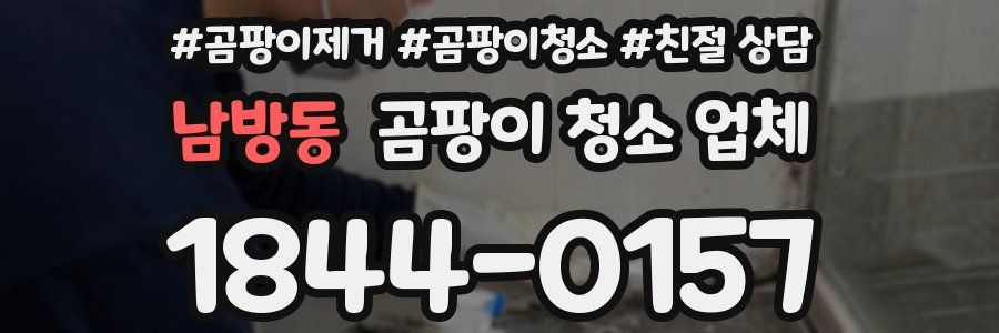 남방동 곰팡이 청소 업체