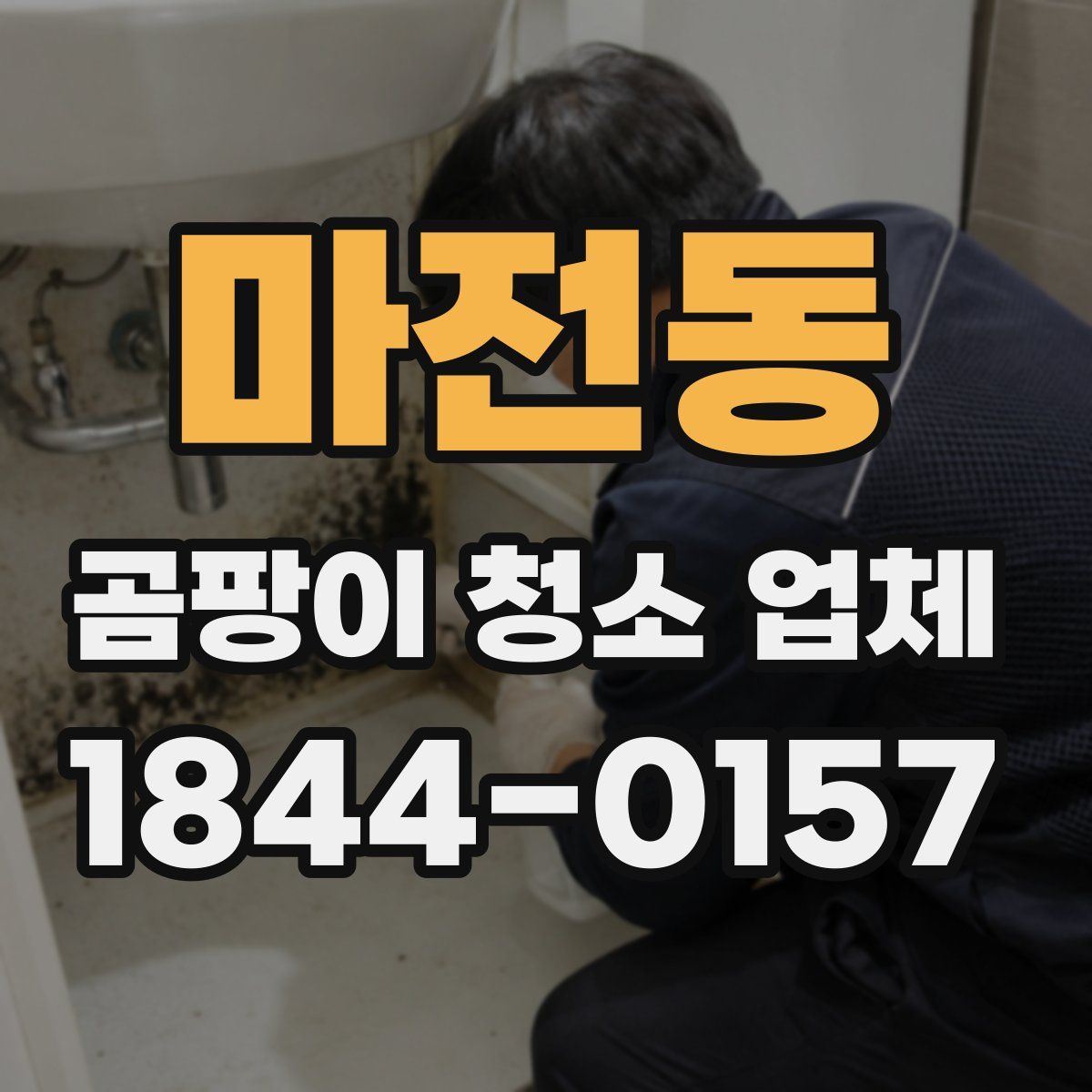 마전동 곰팡이 청소 업체