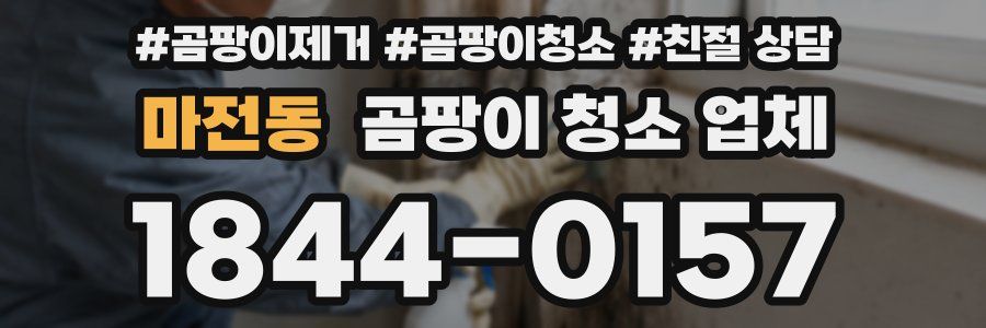마전동 곰팡이 청소 업체