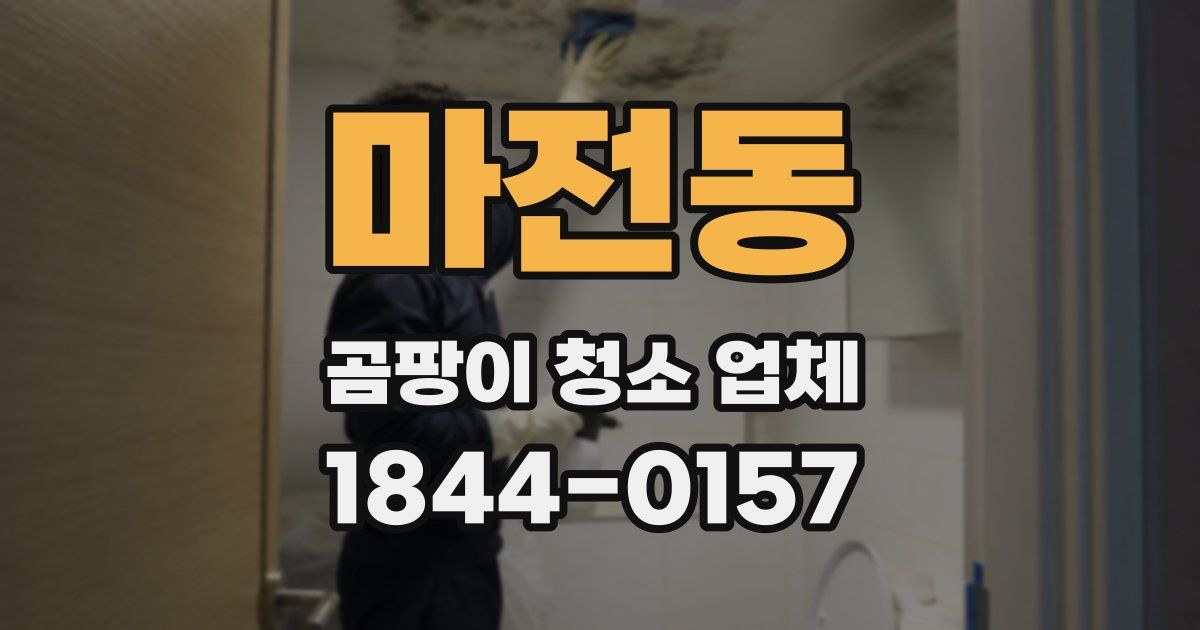 마전동 곰팡이 청소 업체