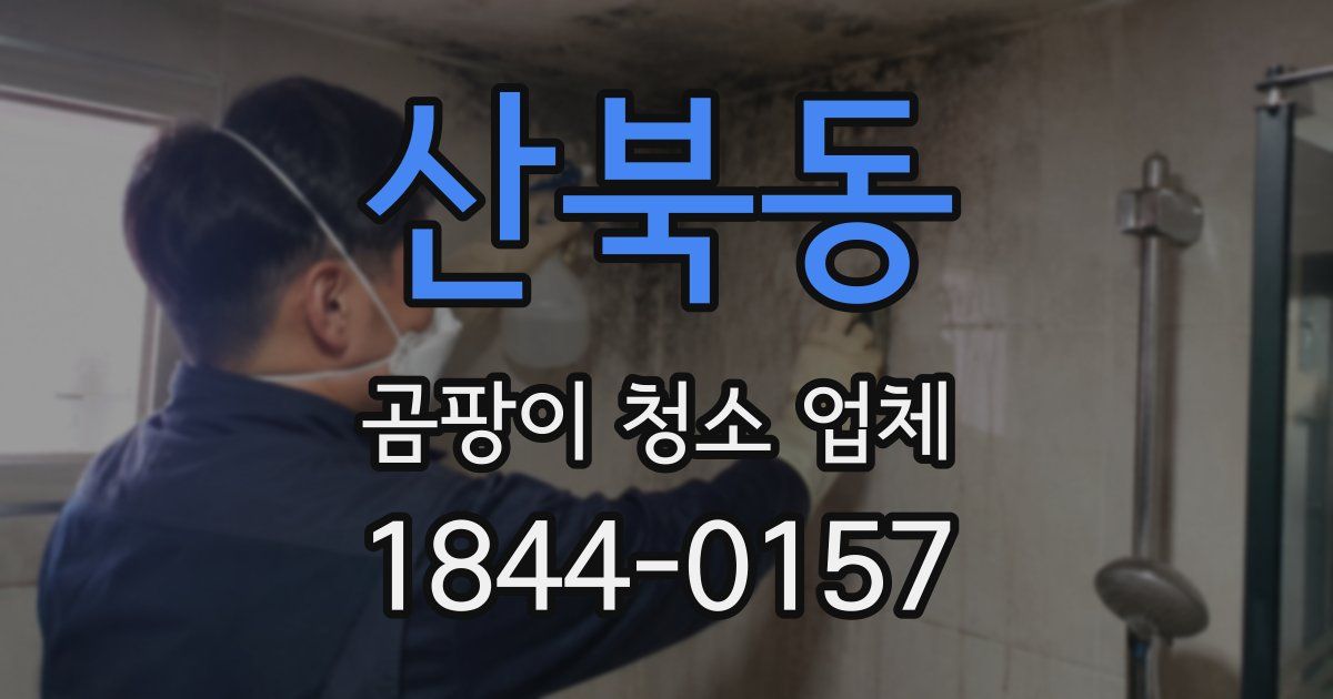 산북동 곰팡이 청소 업체