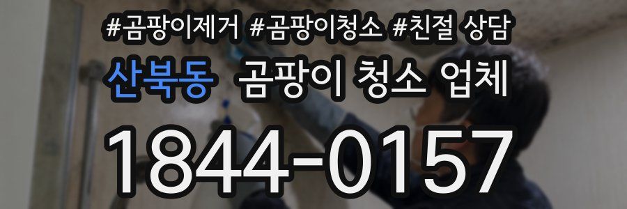 산북동 곰팡이 청소 업체