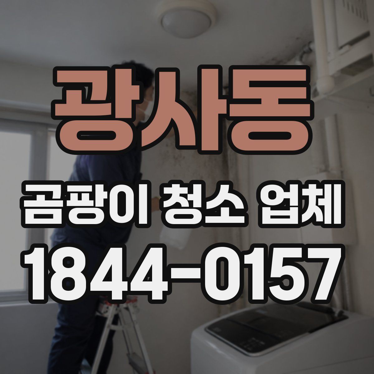 광사동 곰팡이 청소 업체