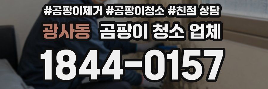 광사동 곰팡이 청소 업체