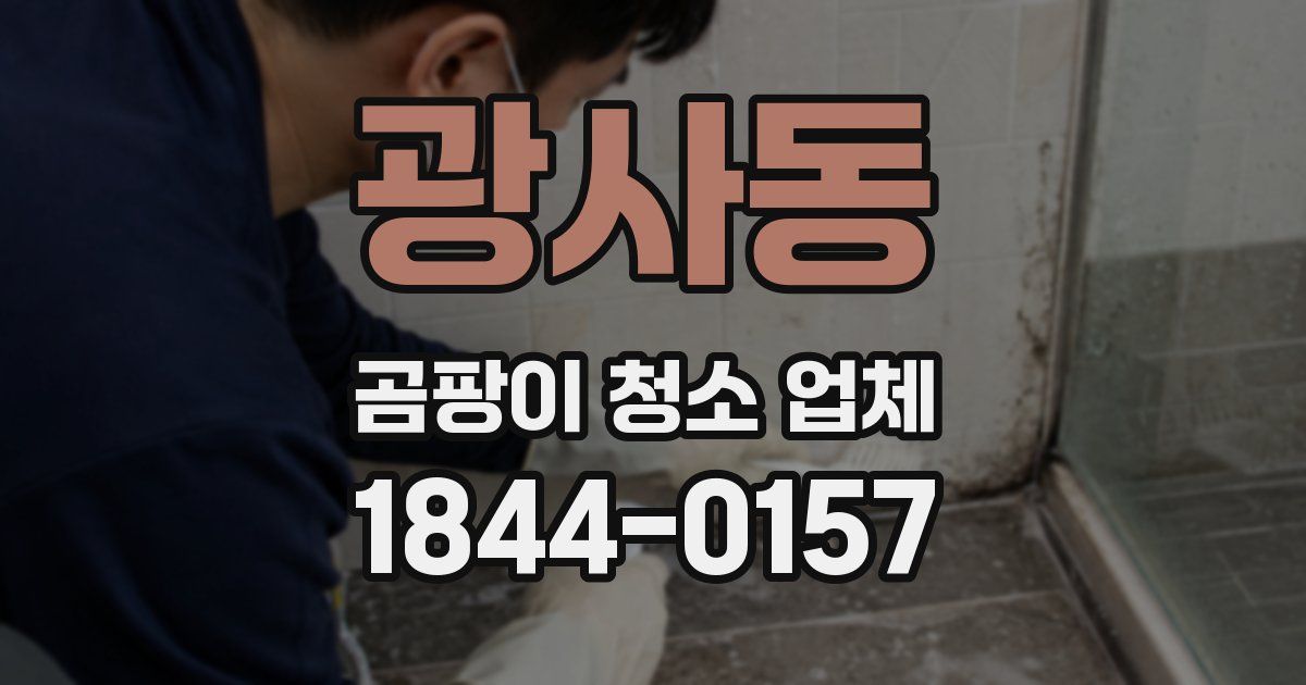 광사동 곰팡이 청소 업체