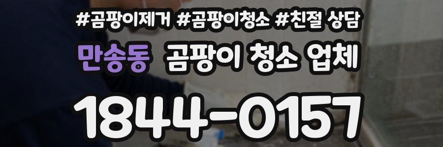 만송동 곰팡이 청소 업체