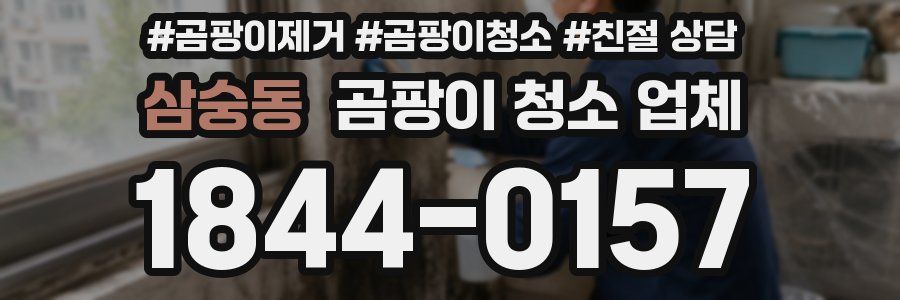 삼숭동 곰팡이 청소 업체