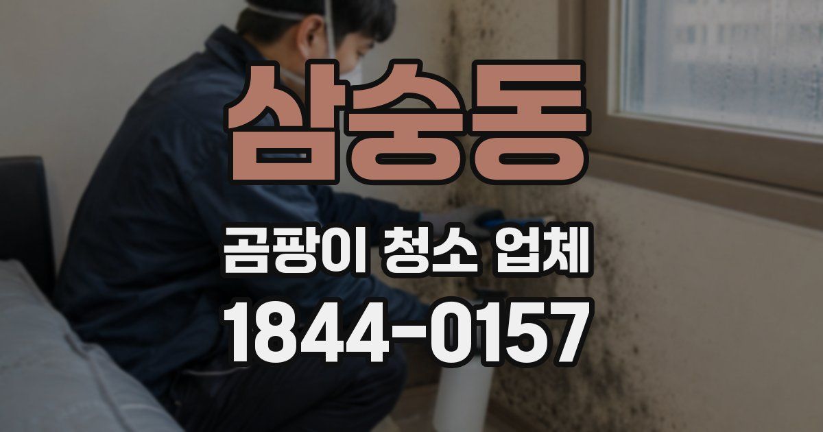 삼숭동 곰팡이 청소 업체