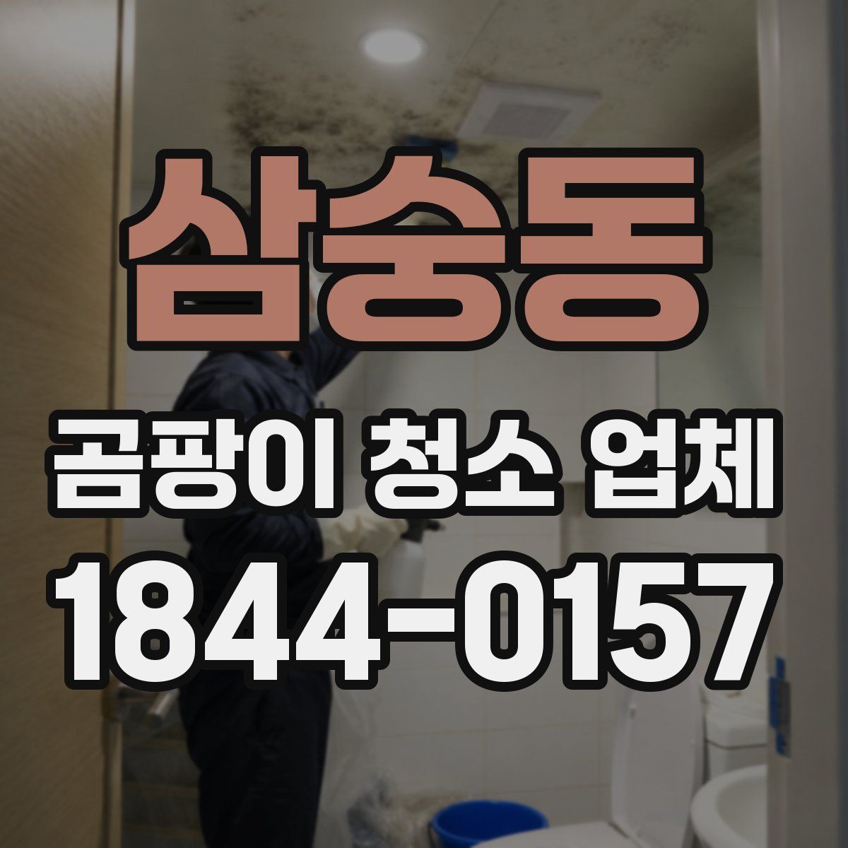 삼숭동 곰팡이 청소 업체