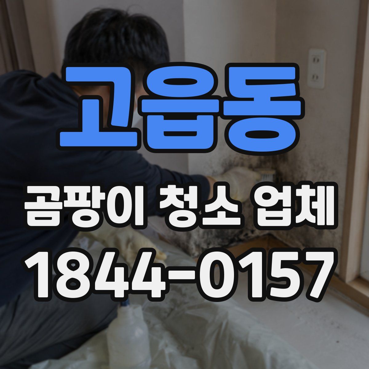고읍동 곰팡이 청소 업체