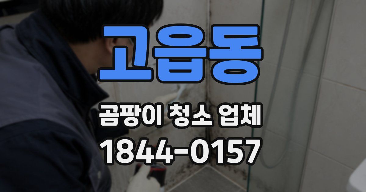 고읍동 곰팡이 청소 업체
