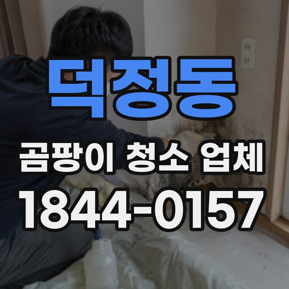 덕정동 곰팡이 청소 업체