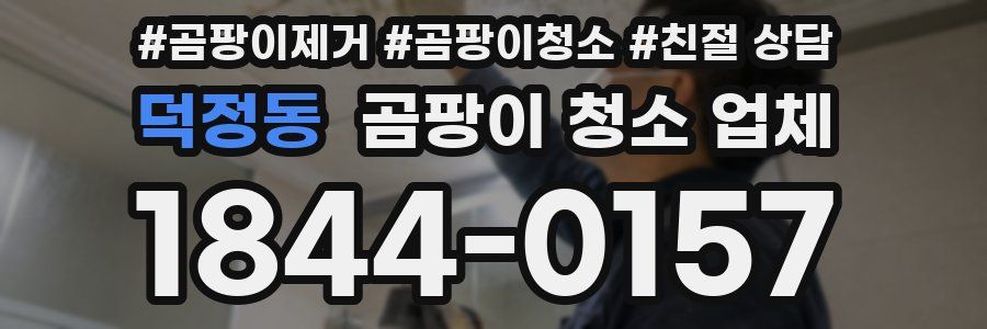 덕정동 곰팡이 청소 업체
