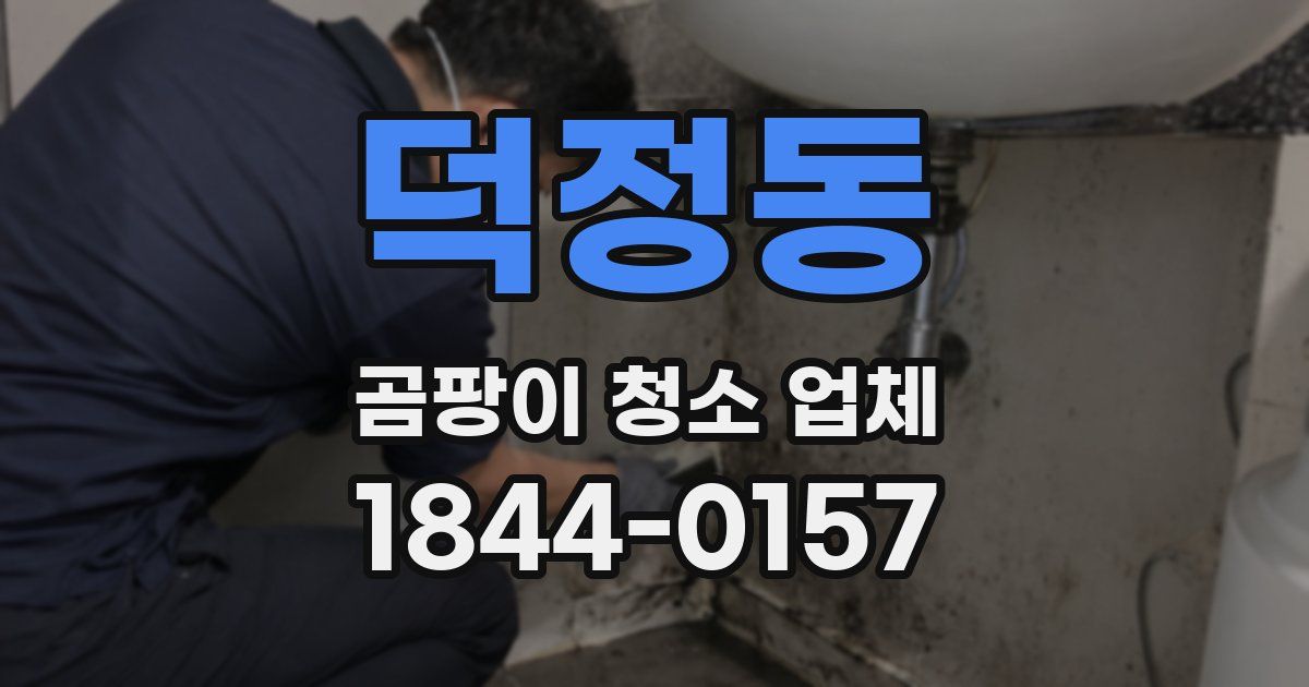 덕정동 곰팡이 청소 업체