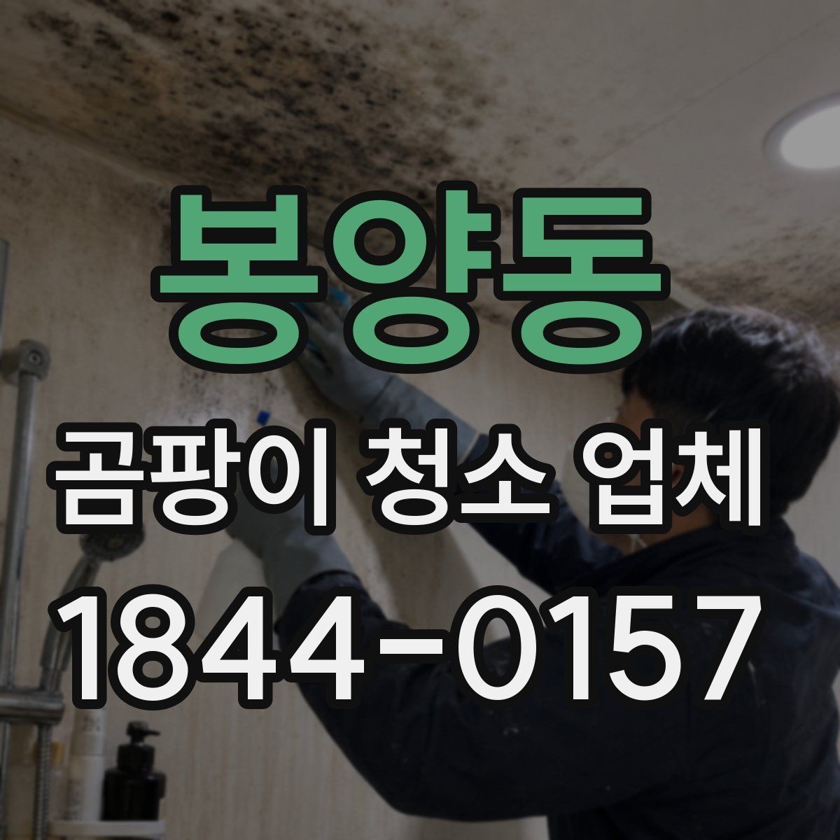 봉양동 곰팡이 청소 업체 상담 시 물어볼 질문들