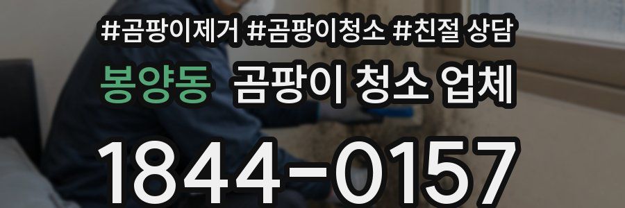 봉양동 곰팡이 청소 업체