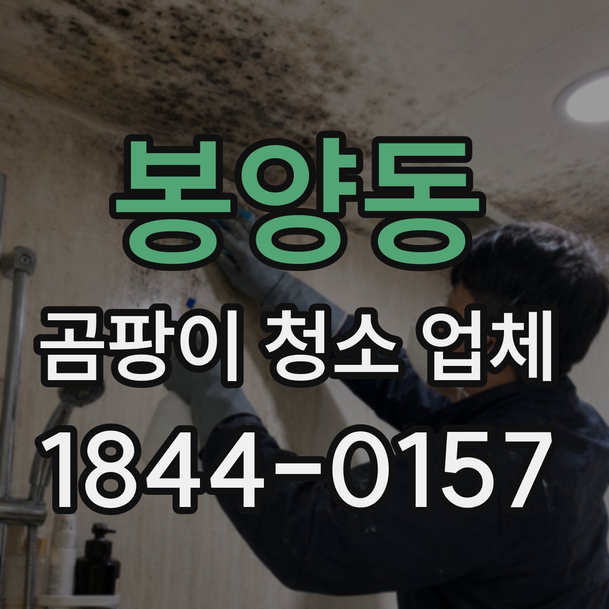 봉양동 곰팡이 청소 업체