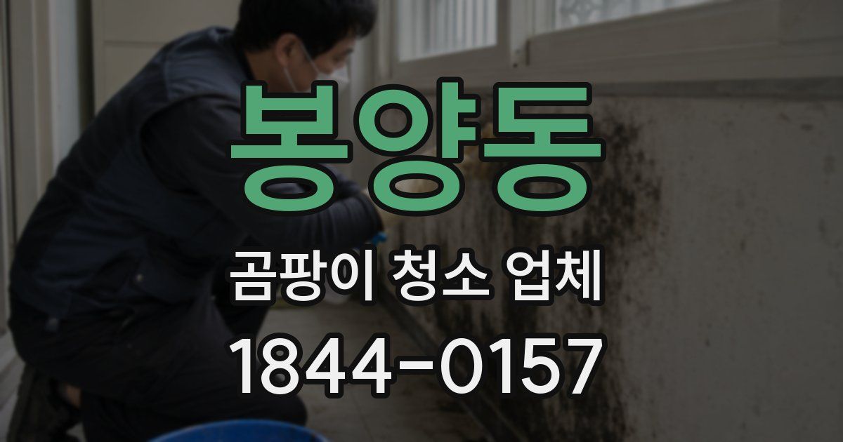 봉양동 곰팡이 청소 업체